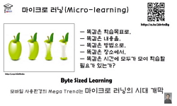 마이크로 러닝 (Micro learning)