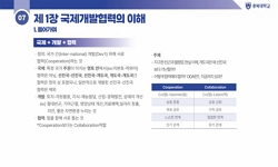국제개발협력의 이해