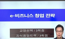 e-비즈니스 창업전략