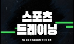 웨이트트레이닝